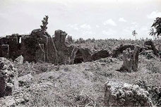 Msikiti wa Salim Mosque