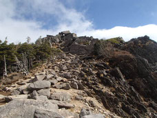 北八ヶ岳　周回登山　ツアー