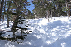 八ヶ岳 三ツ頭 雪山 登山 ガイド
