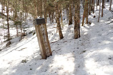 甲武信ヶ岳　残雪期　登山　ガイド