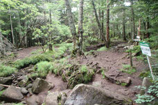 八ヶ岳　編笠山　登山ツアー