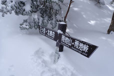 北八ヶ岳　三ツ岳　雪山縦走　ワカン歩行　ラッセル　登山ツアー