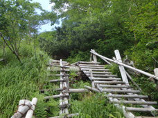 北岳　登山　ガイド