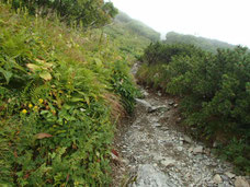 北岳　登山　ガイド