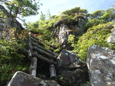 北八ヶ岳　縦走　登山　ツアー