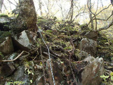 茅ヶ岳　観音峠　登山　ガイド