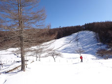 入笠山　スノーシュー　トレッキング　ツアー