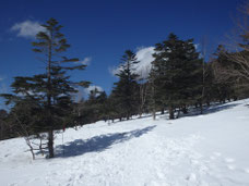 八ヶ岳　茶臼山　スノーシュー　ツアー
