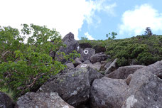 八ヶ岳　天狗岳　登山　ツアー