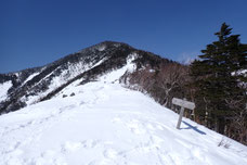 八ヶ岳 三ツ頭 雪山 登山 ガイド