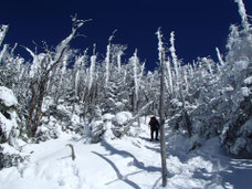 蓼科山　雪山入門　講習型ツアー