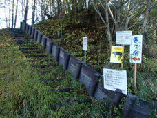 茅ヶ岳　観音峠　登山　ガイド