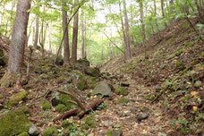 読図　講習　茅ヶ岳　登山ツアー　ガイド