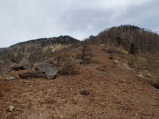 権現岳　古道　ガイド