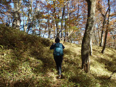 日向山　読図　登山　ツアー