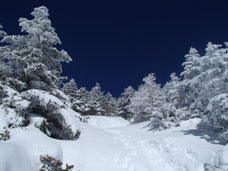 八ヶ岳　西岳　雪山　登山　講習会　ツアー