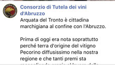 Pecorino vino di Arquata del Tronto