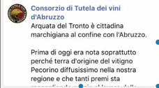 Pecorino vino di Arquata del Tronto
