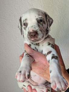 Miss Lila 16.05.2026