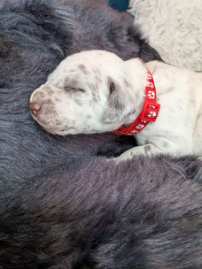 Mister Rot 02.05.2026
