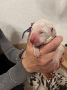 Miss Lila 18.04.2026