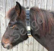 Pferdehalsband Aktivstall / Sicherheitshalsband Pferd mit Chiplasche und Soll-Bruchstelle