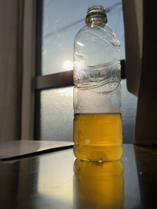 2026/5/31　逆光を浴びるペットボトルのお茶