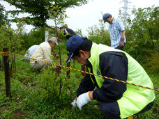 ふれあい農園早朝除草作業