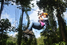 Canopy Vista Arenal and Tarzan Swing