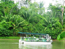 Viaje en lancha humedales Cano Negro