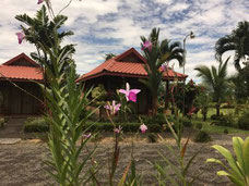 Hotel con Vista al Volcán Arenal y cerca de aguas termales