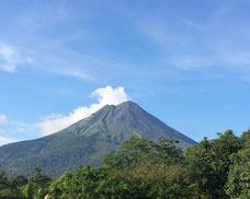 Daily private or shuttle service between Tortuguero and Arenal