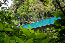 CR Sky Adventure - Sky Walk Arenal