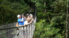 Arenal Combo Tour: Arenal Hanging Bridges & Hot Springs