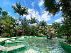 Arenal Canopy Tour  y Paradise Hot Springs con cena