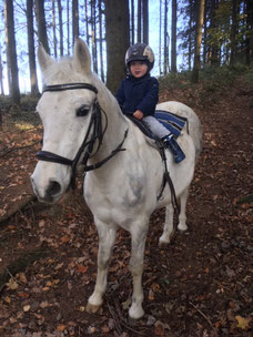 Pony Kunterbunt