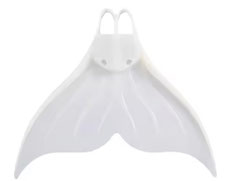 スキンダイビング、ドルフィンスイムプール練習会