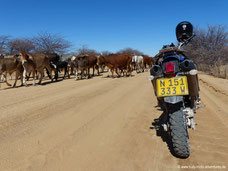 Gegenverkehr in Namibia