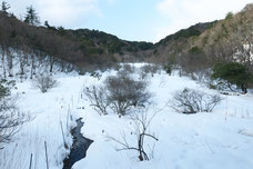 北部湿原