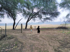 Children studying in the nature - nature walk in kindergarten