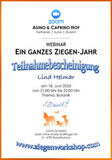 Beispiel
