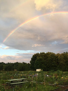 Double rainbow over WTCG