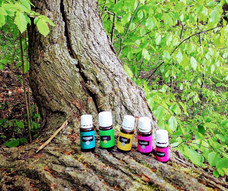 Ätherische Ölr Rauhnächte