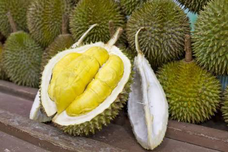 Durian, appelé aussi le fruit du roi 