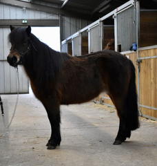 Sa mère, Etincelle du Naberon