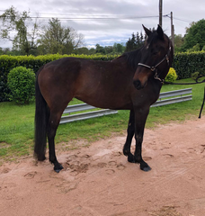 Sa mère, Uez Connexion