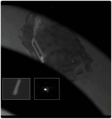 Cliquer pour agrandir