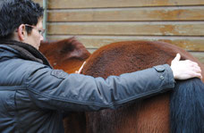 Schwingen als passive Bewegungstherapie