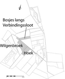 Wilgenbroek, Hoek en bosjes langs de Verbindingssloot.