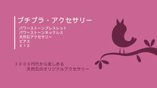 プチプラアクセサリー